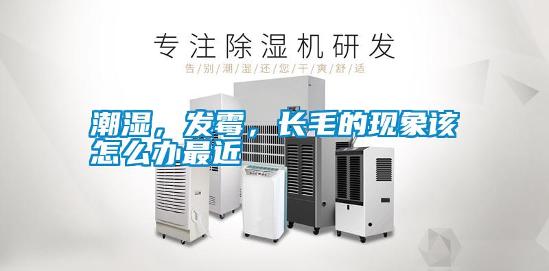 潮濕，發霉，長毛的現象該怎么辦最近