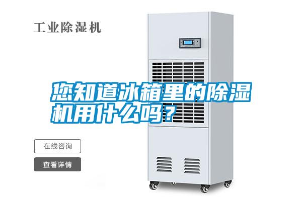 您知道冰箱里的除濕機用什么嗎？