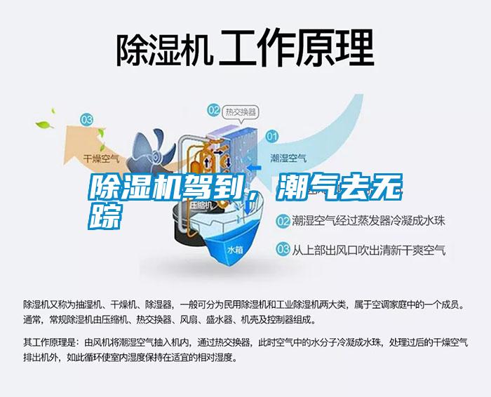 除濕機駕到，潮氣去無蹤