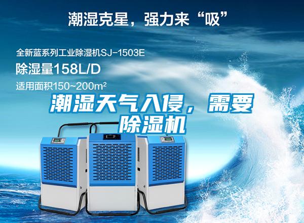 潮濕天氣入侵，需要除濕機