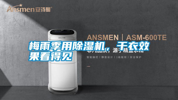 梅雨季用除濕機，干衣效果看得見