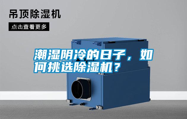 潮濕陰冷的日子，如何挑選除濕機？