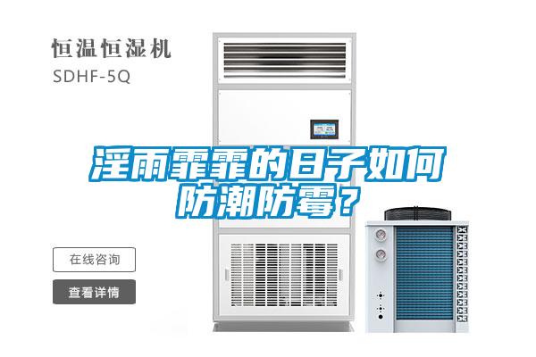 淫雨霏霏的日子如何防潮防霉？