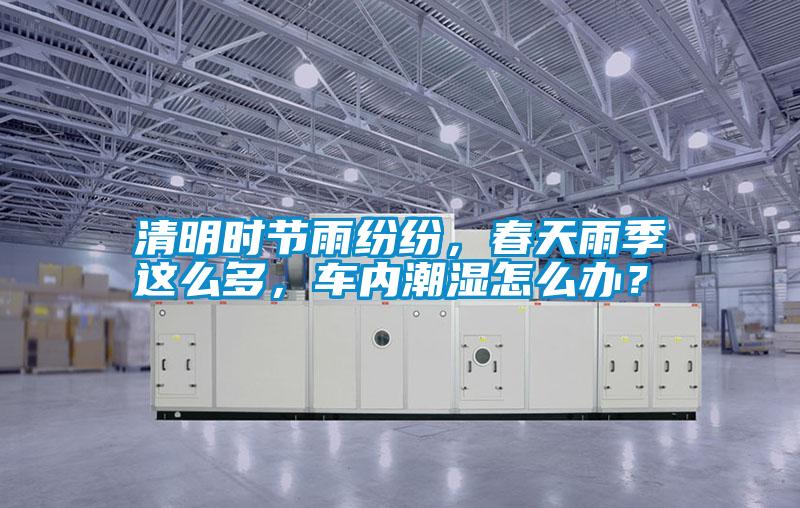 清明時節雨紛紛，春天雨季這么多，車內潮濕怎么辦？