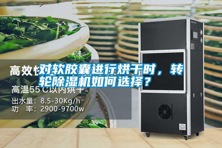對軟膠囊進行烘干時，轉輪除濕機如何選擇？