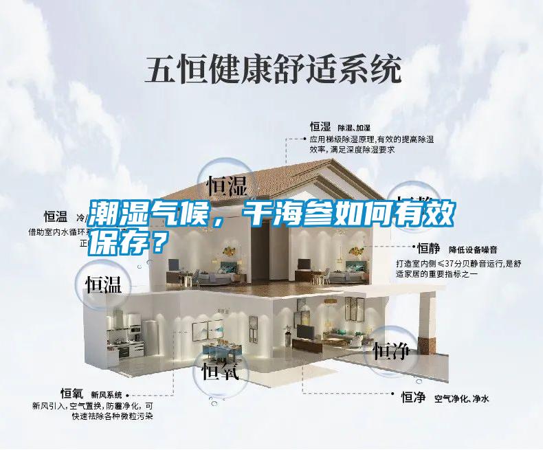 潮濕氣候，干海參如何有效保存？