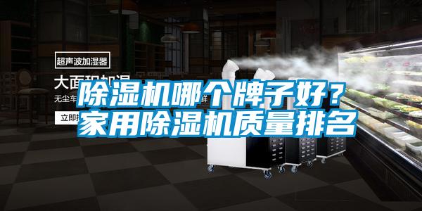 除濕機哪個牌子好？家用除濕機質量排名