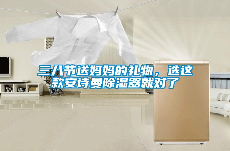 三八節送媽媽的禮物，選這款安詩曼除濕器就對了