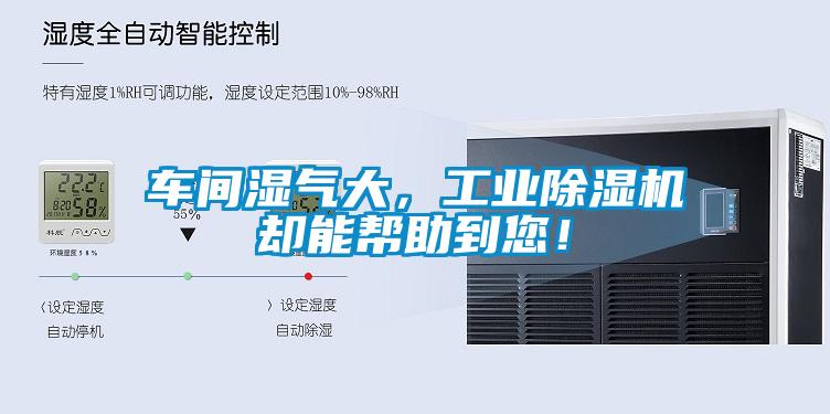 車間濕氣大，工業除濕機卻能幫助到您！