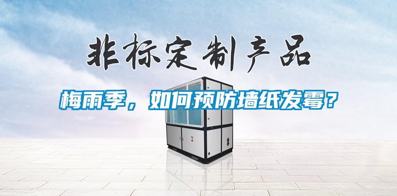 梅雨季，如何預防墻紙發霉？