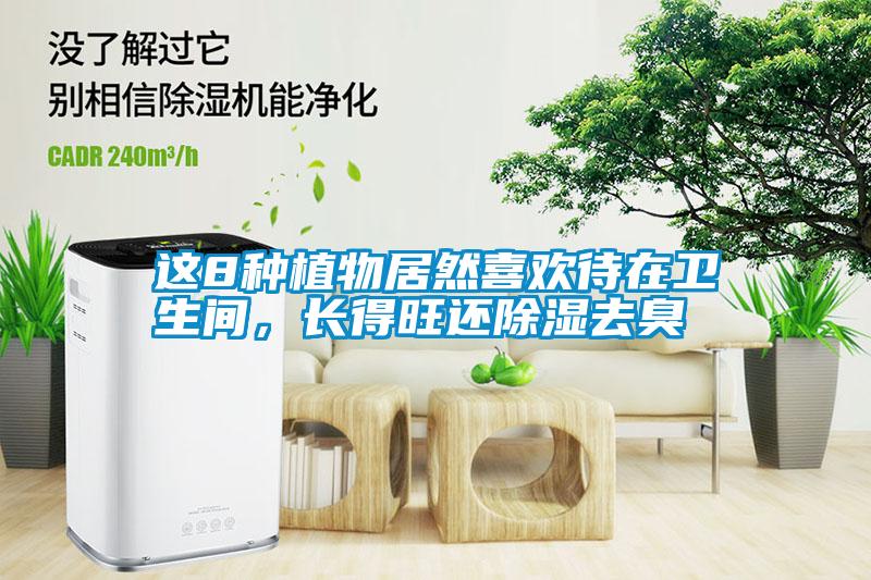 這8種植物居然喜歡待在衛生間，長得旺還除濕去臭