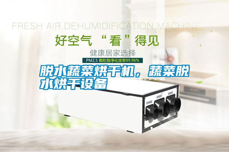 脫水蔬菜烘干機，蔬菜脫水烘干設備