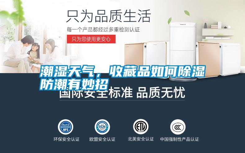 潮濕天氣，收藏品如何除濕防潮有妙招