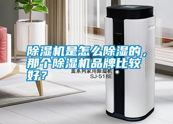 除濕機是怎么除濕的，那個除濕機品牌比較好？