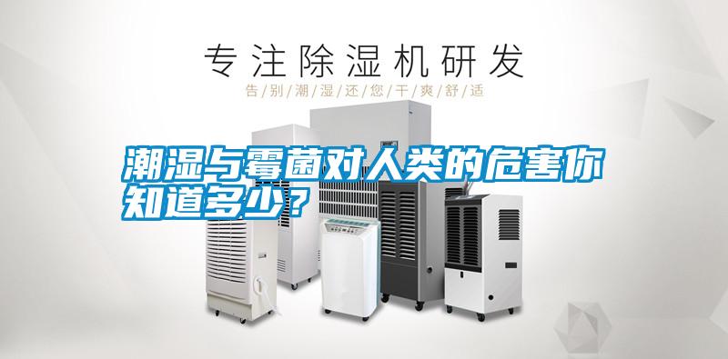 潮濕與霉菌對人類的危害你知道多少？
