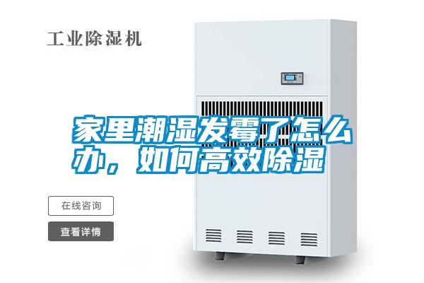 家里潮濕發霉了怎么辦，如何高效除濕