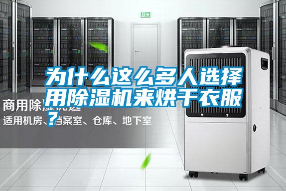 為什么這么多人選擇用除濕機來烘干衣服？