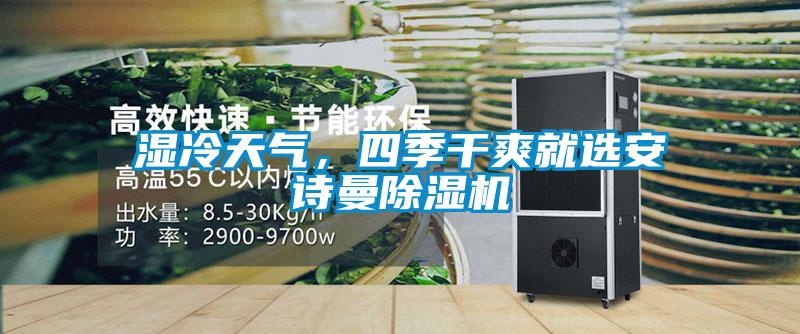 濕冷天氣，四季干爽就選安詩曼除濕機