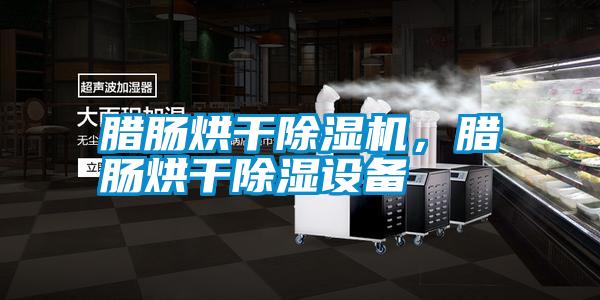 臘腸烘干除濕機，臘腸烘干除濕設備