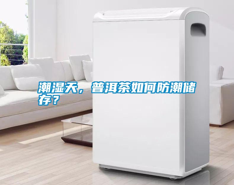 潮濕天，普洱茶如何防潮儲存？