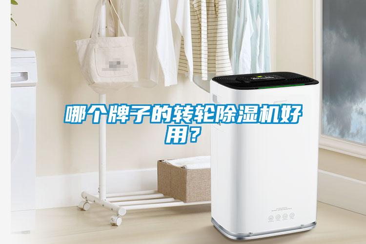 哪個牌子的轉輪除濕機好用？