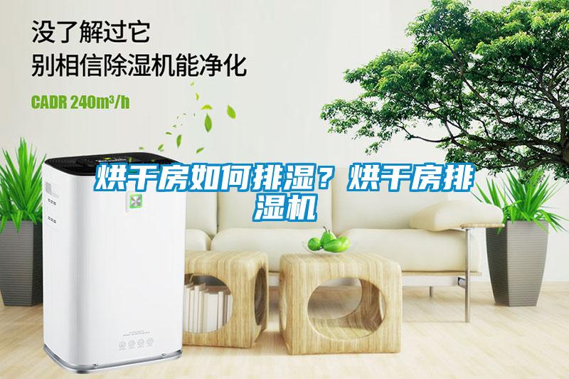 烘干房如何排濕？烘干房排濕機