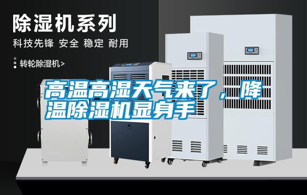 高溫高濕天氣來了，降溫除濕機顯身手