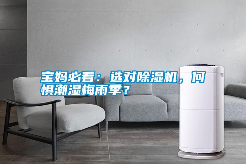寶媽必看：選對除濕機，何懼潮濕梅雨季？