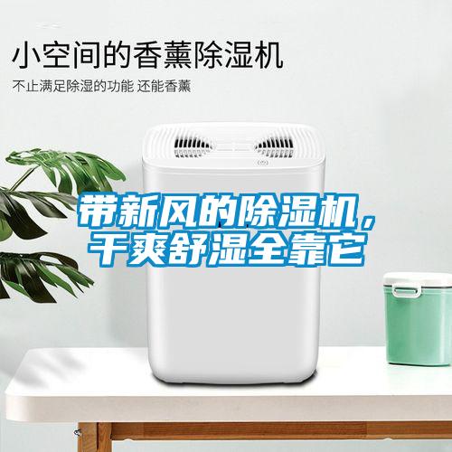 帶新風的除濕機，干爽舒濕全靠它