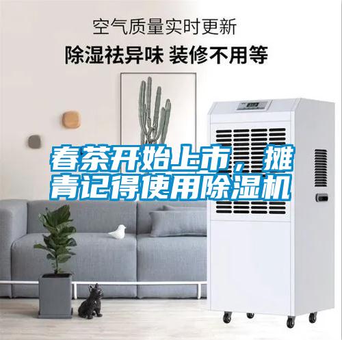 春茶開始上市，攤青記得使用除濕機