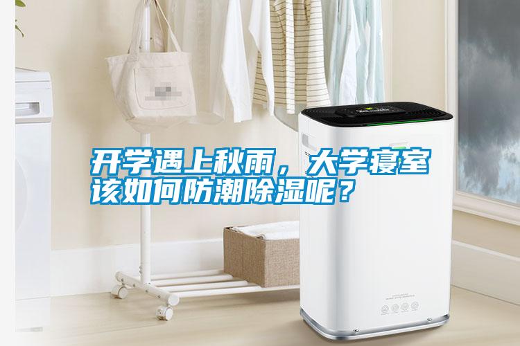 開學遇上秋雨，大學寢室該如何防潮除濕呢？