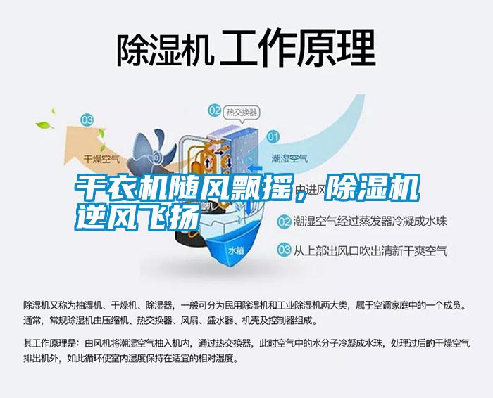 干衣機隨風飄搖，除濕機逆風飛揚
