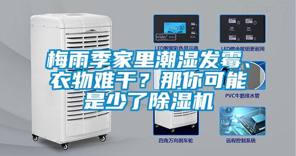 梅雨季家里潮濕發霉、衣物難干？那你可能是少了除濕機