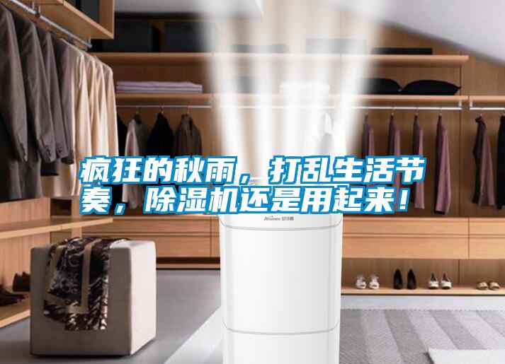 瘋狂的秋雨，打亂生活節奏，除濕機還是用起來！
