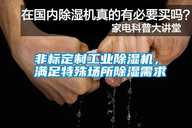 非標定制工業除濕機，滿足特殊場所除濕需求