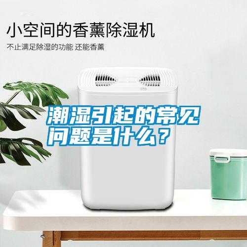 潮濕引起的常見問題是什么？