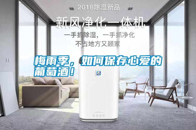 梅雨季，如何保存心愛的葡萄酒！