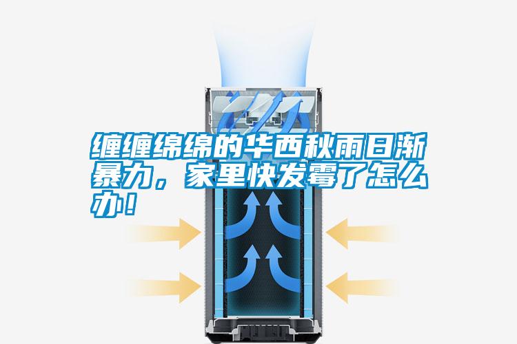 纏纏綿綿的華西秋雨日漸暴力，家里快發霉了怎么辦！