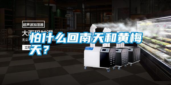 怕什么回南天和黃梅天？