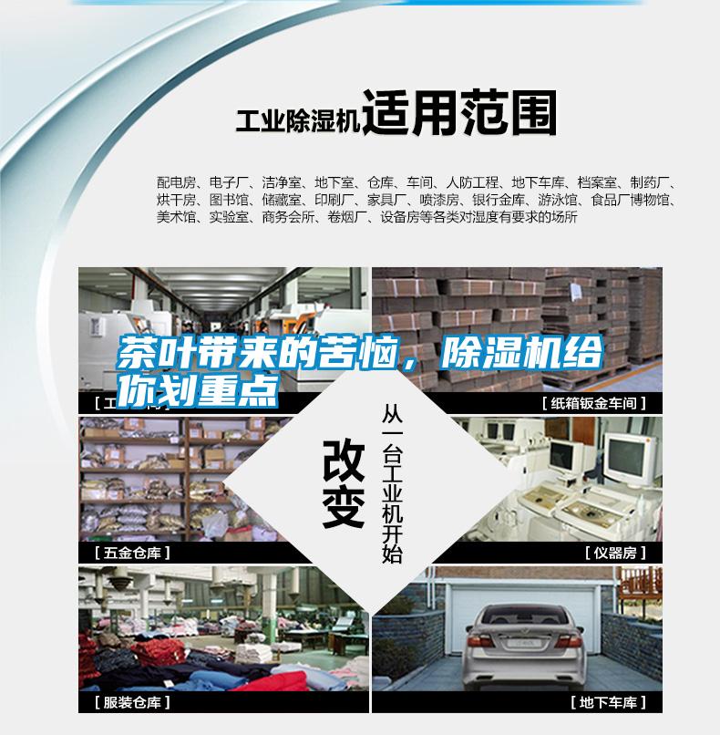 茶葉帶來的苦惱，除濕機給你劃重點