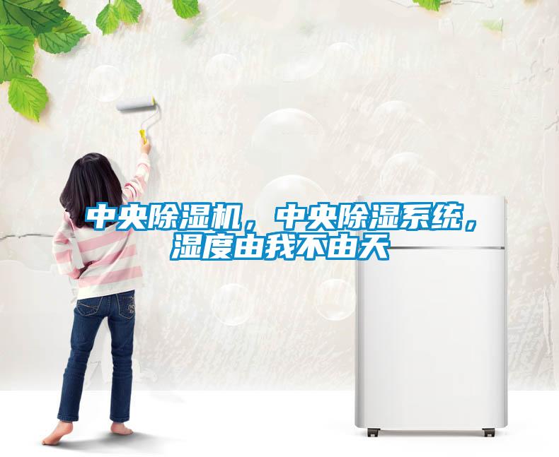 中央除濕機，中央除濕系統，濕度由我不由天