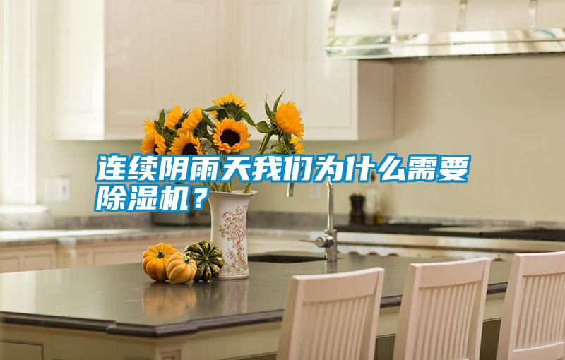 連續陰雨天我們為什么需要除濕機？