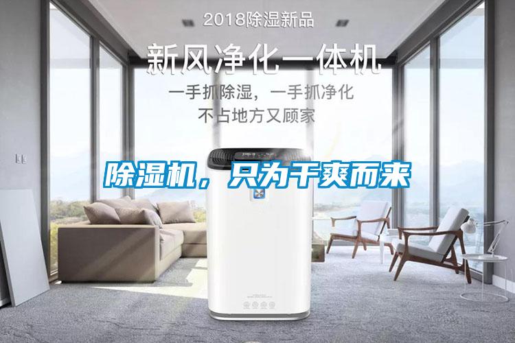 除濕機，只為干爽而來