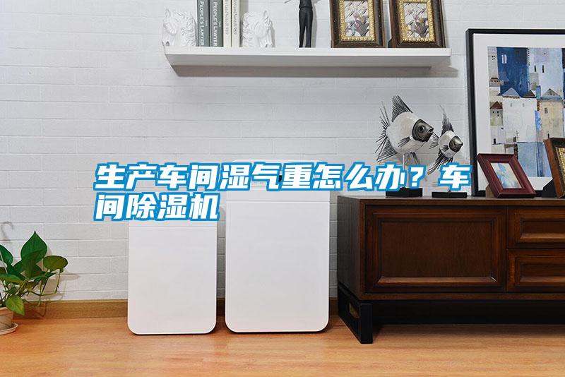 生產車間濕氣重怎么辦？車間除濕機