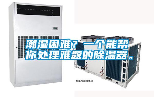 潮濕困難？一個能幫你處理難題的除濕器。