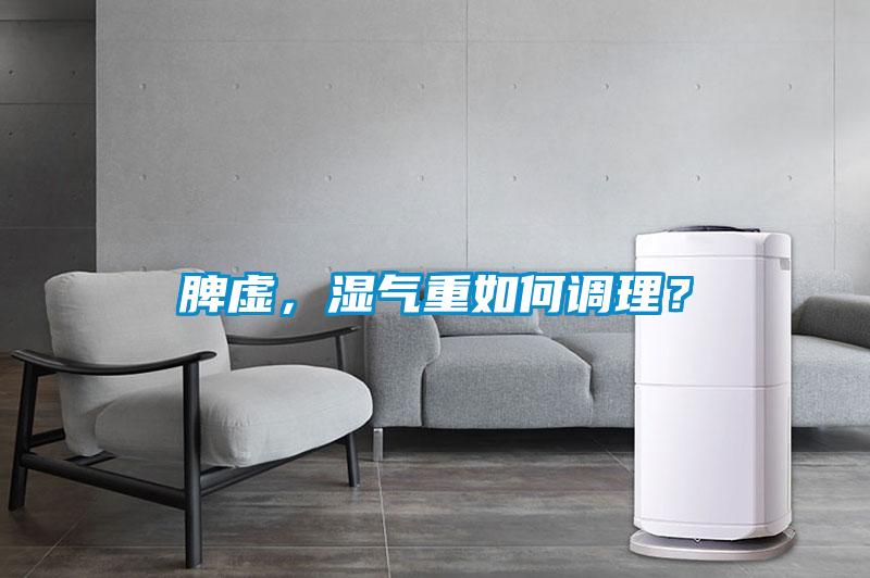 脾虛，濕氣重如何調理？