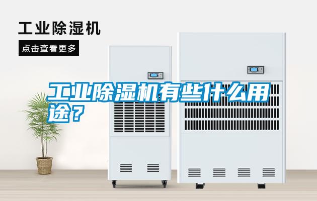 工業除濕機有些什么用途？