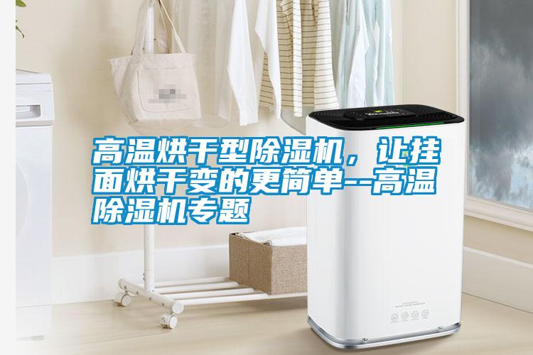 高溫烘干型除濕機，讓掛面烘干變的更簡單--高溫除濕機專題