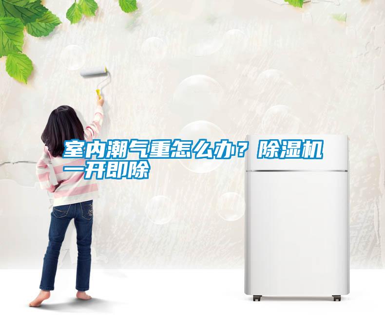 室內潮氣重怎么辦？除濕機一開即除