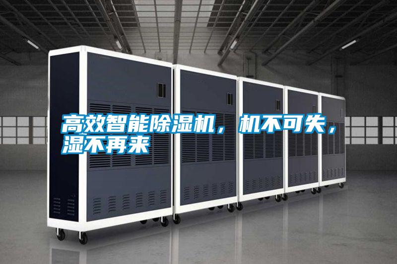 高效智能除濕機，機不可失，濕不再來